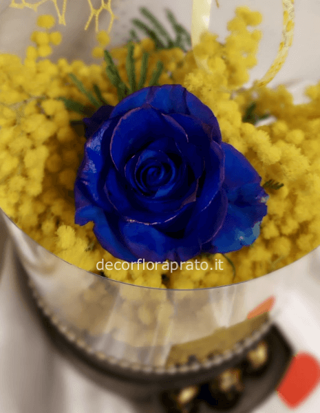flowerbox mimosa,cioccolattini,rosa blu