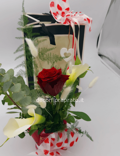 Rosa rossa in borsa con finestra