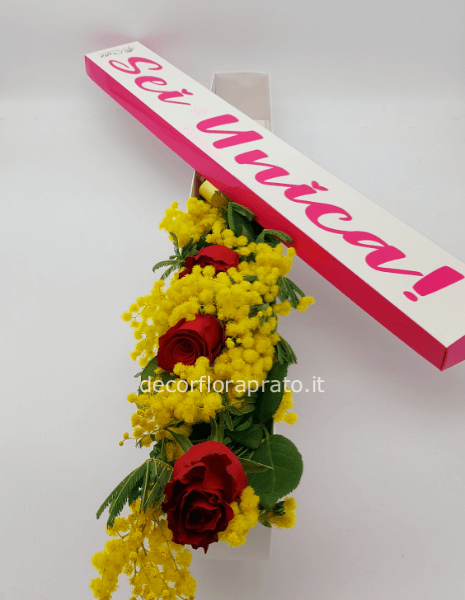 Sei unica scatola grande